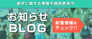 新着情報